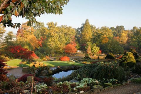 RHS Garden Wisley: The Rock Garden și Wild Garden la Wisley în toamnă