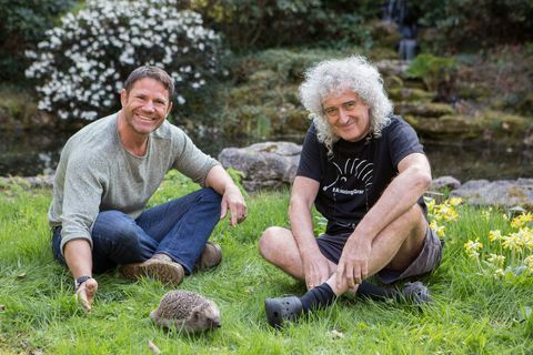 Steve Backshall, Brian May, Salvează arici britanici