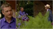 Controversați-vă la Chelsea Flower Show? Chris Beardshaw câștigă medalia Silver-Gilt pentru Morgan Stanley Garden