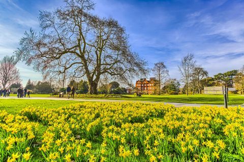 Narcise primăvara la Royal Botanic Gardens Kew