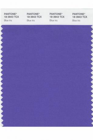 Culoarea Pantone a anului: 2000 – 2019