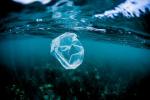 Guvernul spune că tariful pentru o singură utilizare a pungilor de plastic va fi dublat la 10p până în 2020