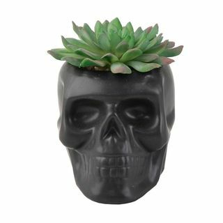 Craniu negru mat Ceramic Succulent