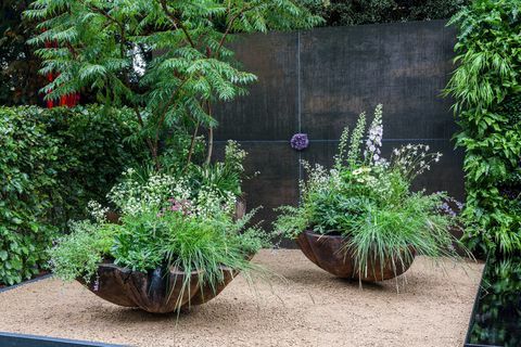 rhs chelsea flower show 2021 container gardens