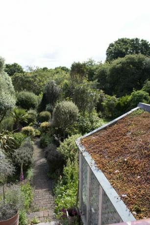 Grădina mediteraneană concurentă a anului More4's Garden din nordul Londrei
