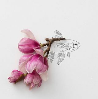 Fotografie Goldfish No. 1