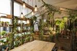 Airbnb și Pantone colaborează la casa „Outside In” a Greenery din Londra