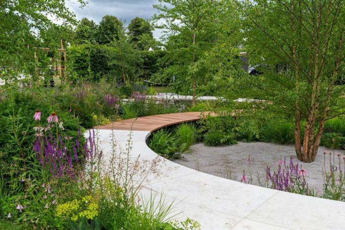 Tom Simpson primește aur pentru cercetarea cancerului, grădina moștenită din Marea Britanie la rhs Hampton Court 2021