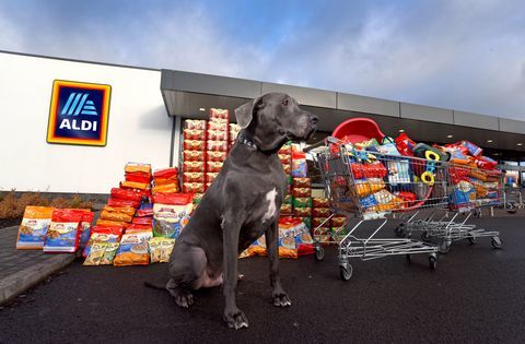 Aldi - Gama de animale de companie - mâncare