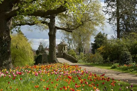 Dunsborough Park - Surrey - flori - Savills