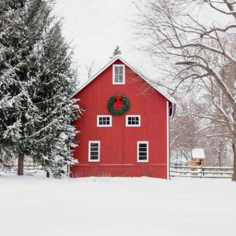 hambar roșu în zăpadă test liric de Crăciun