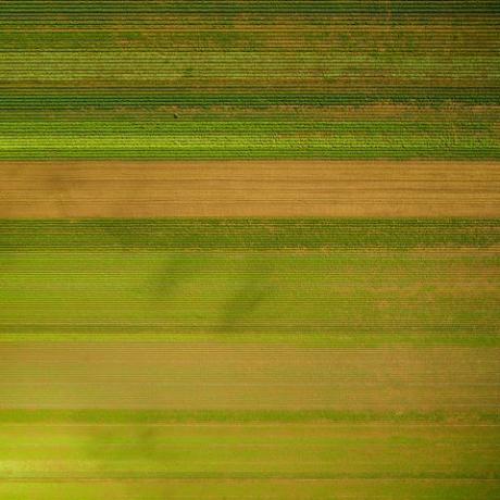 fotografii aeriene modele de terenuri agricole 2