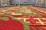 Acest covor de flori spectaculos este realizat din 700.000 de petale de begonia