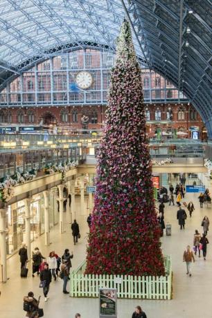 Arborele de Crăciun floral de 47ft, dezvăluit în stația internațională St Pancras, Londra.