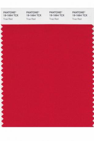 Culoarea Pantone a anului: 2000 – 2019