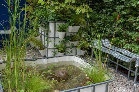 chelsea flower show 2021 container gardens the ibc pocket forest