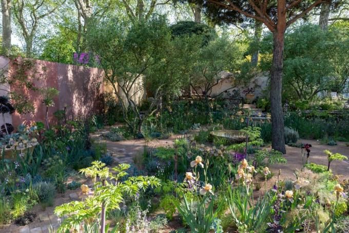 chelsea flower show 2023 hrănește peisaje grădină proiectată de sarah price