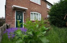 Moduri ușoare de grădină ar putea adăuga 5.000 de lire sterline la valoarea casei tale