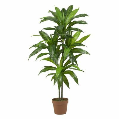 Real Touch 48 in. H Planta de mătase verde Dracaena