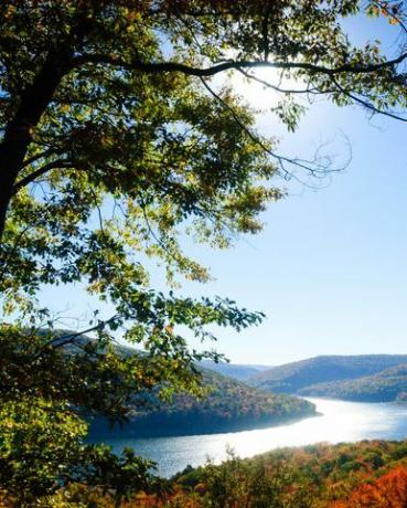 Allegheny National Forest