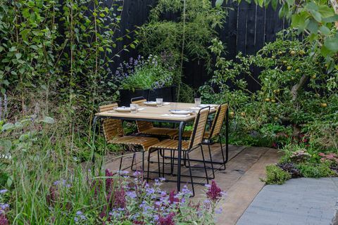 rhs chelsea flower show 2021 sanctuary gardens