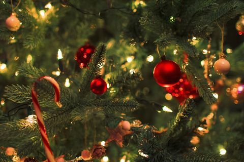 Închideți ornamente și lumini cu șnur pe bradul de Crăciun