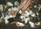 Licitație Sotheby pentru cea mai mare pictură de pisici din lume