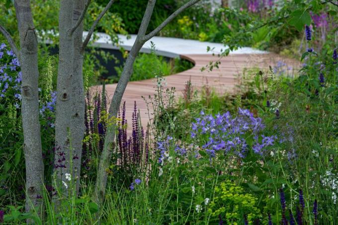 Tom Simpson primește aur pentru cercetarea cancerului, grădina moștenită din Marea Britanie la rhs Hampton Court 2021