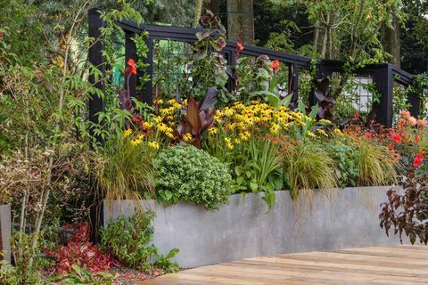 rhs chelsea flower show 2021 include grădini