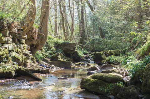 cabană de vânzare în North Yorkshire