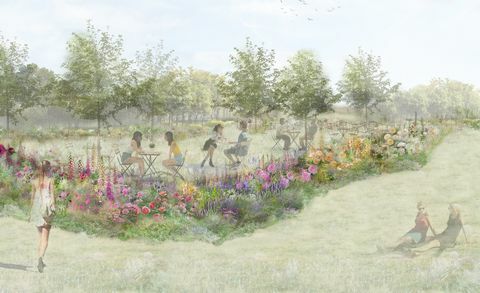 grădina de ceai de trandafiri, grădina rhs, proiectată de pollyanna wilkinson, festivalul grădinii palatului rhs Hampton Court 2022