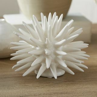 Sculptura Coral Rader