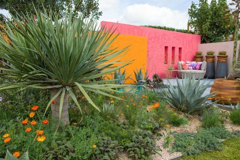 Casele interioare: sub un cer mexican. Proiectat de: Manoj Malde. Sponsorizat de: Inland Homes Plc. RHS Chelsea Flower Show 2017