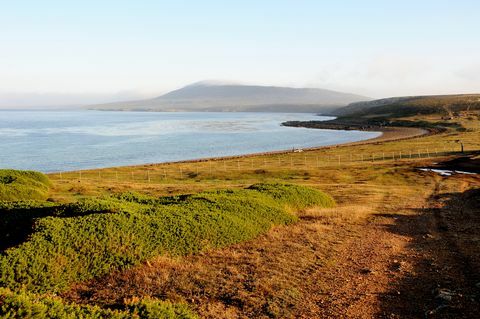 Peisaj lângă Pebble Island Lodge, Pebble Island / Insulele Falkland