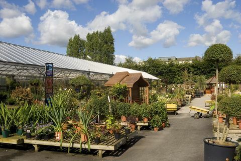 centru de grădină din Knutsford, Cheshire, Regatul Unit