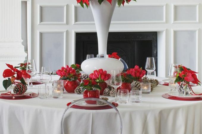 masă decorată cu poinsettias