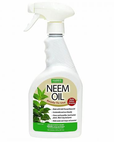 Harris Neem Ulei spray pentru plante, presat la rece, gata de utilizare, 20 oz