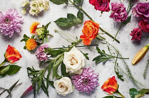 Waitrose Flower Delivery - serviciu online de livrare de flori