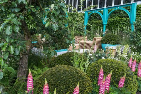 „500 de ani de Covent Garden” Grădina Fundației Sir Simon Milton în parteneriat cu Capco. Proiectat de: Lee Bestall. Sponsorizat de: Capital & Counties Properties PLC. RHS Chelsea Flower Show 2017