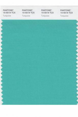 Culoarea Pantone a anului: 2000 – 2019