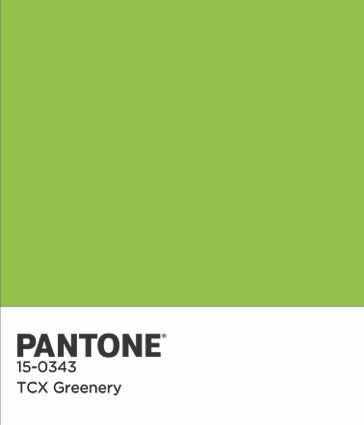 Chip Pantone COTY 2017 Color