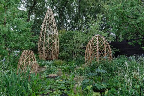 rhs chelsea flower show 2021 spectacol grădini