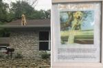 Semnul acestei familii explică de ce câinele lor adoră să stea pe acoperiș