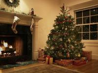 Real vs. Pomi de Crăciun falși: care este potrivit pentru casa ta?