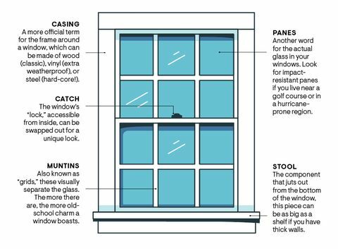 anatomie windows