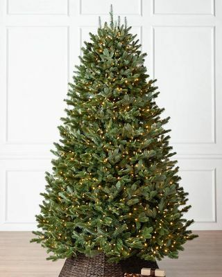 Fraser Fir® 