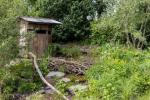 Expoziție de flori Chelsea: Monty Don pune întrebări Winning ReWilding Garden