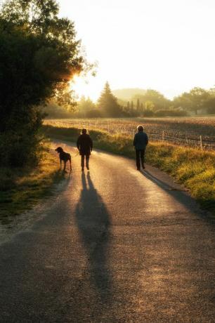 două femei plimbându-se cu un câine la răsăritul soarelui