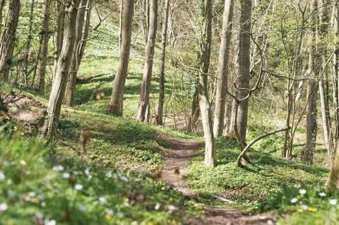 cabană de vânzare în North Yorkshire