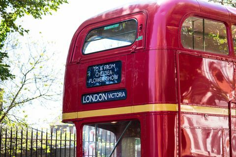 Autobuzul roșu din Londra care duce oamenii la Chelsea Flower Show, Londra, Marea Britanie